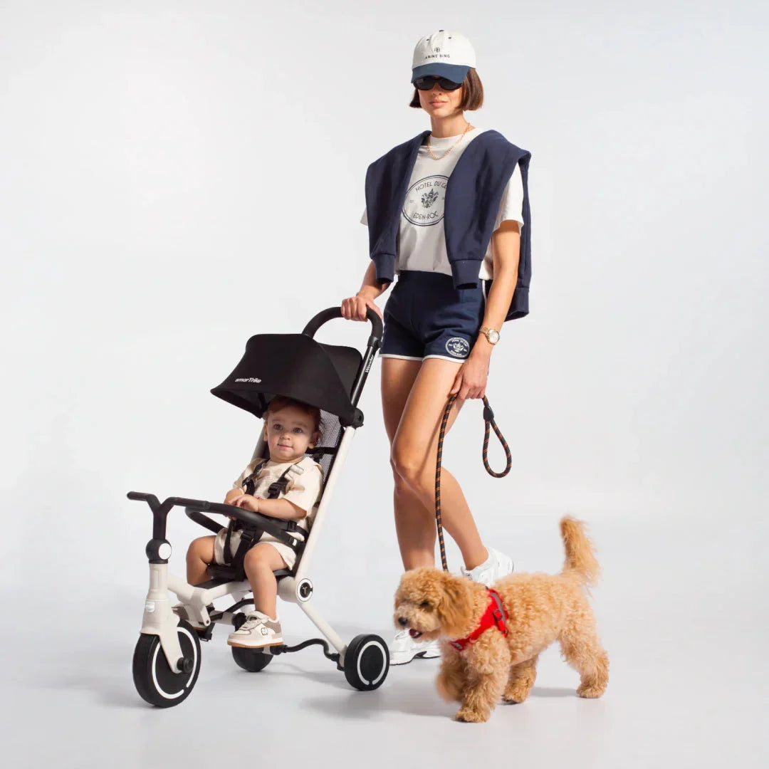 Stroller-trike or pram for a one-year-old?