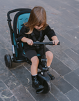 STR3 Stroller Trike