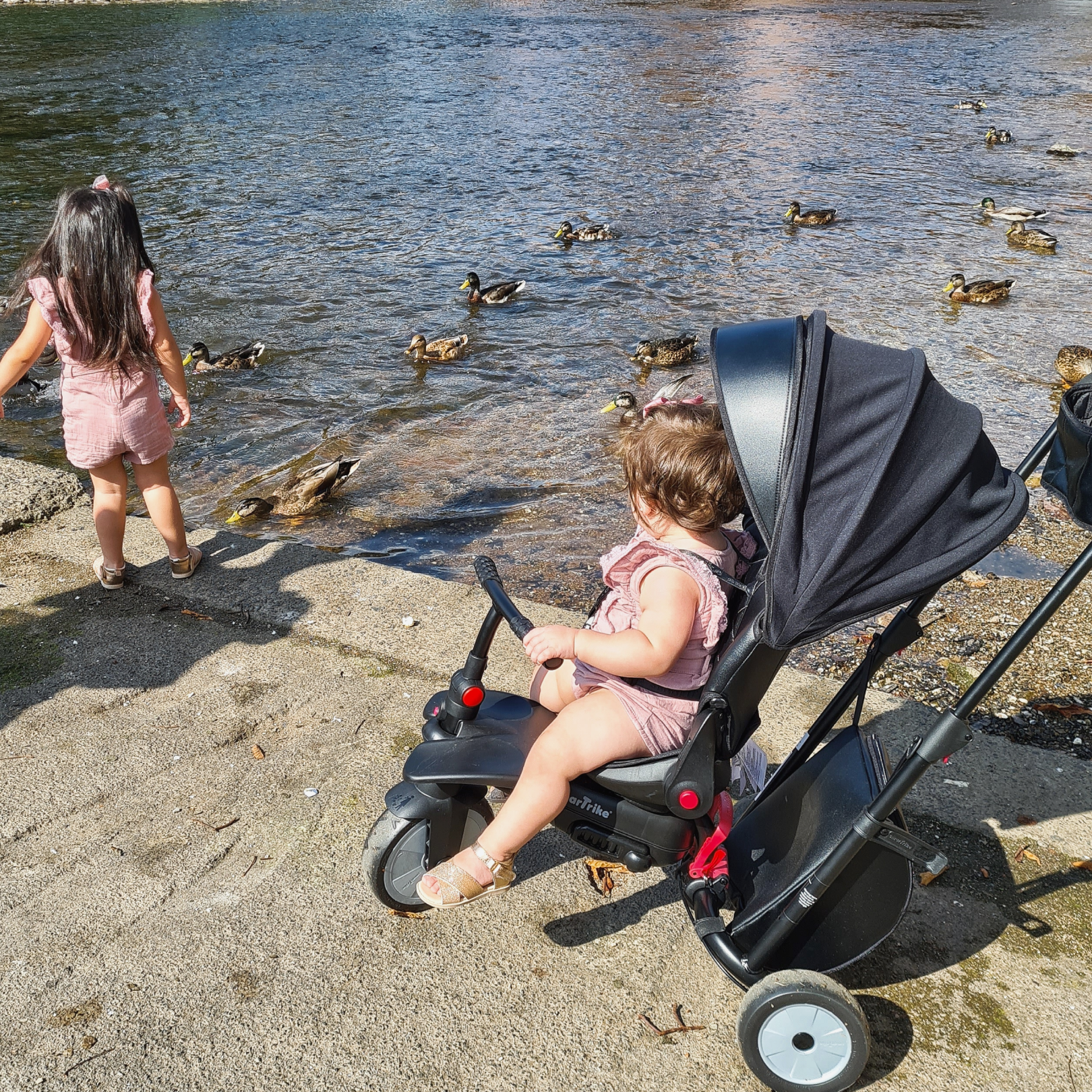 STR7 Stroller Trike