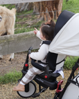 STR7 Stroller Trike