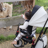 STR7 Stroller Trike