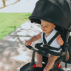 STR7 Stroller Trike