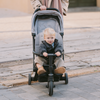 Traveler Stroller