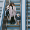 Traveler Stroller