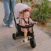 STR3 Stroller Trike